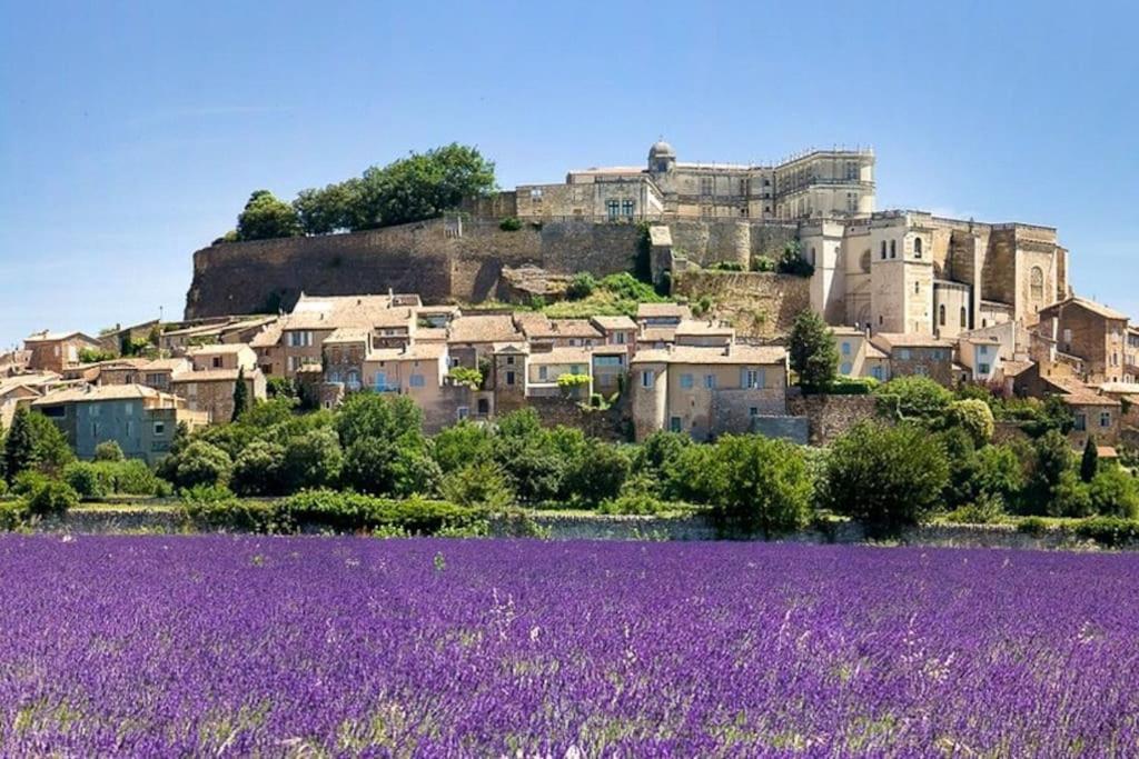Maison De Ville Châteauneuf-du-Rhône Екстериор снимка
